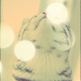 Даша Гуслицкова, 03.09.1993, Москва