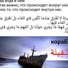 Мирза Мугутдинов, 30.11.1989, Кизилюрт