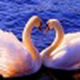 Зульфина Галина, 25.06.1979, Москва