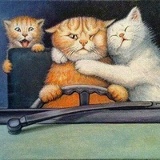 Татьяна Кислякова, 10.02.1989, Киев