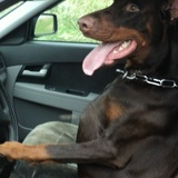 Влад Иванов, 08.07.1978, Санкт-Петербург