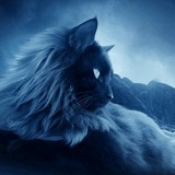 Виктория Чертыгашева, Аскиз