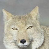 Илья Смирнов, 15.12.1990, Москва