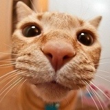 Пётр Щербаков, 04.08, Рыбинск