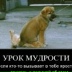 Ирина Степаненко, 04.10.1985, Москва