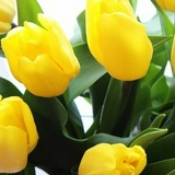 Виктория Бондаревская, Калининград