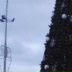 Нияра Абдулаева, 12.02