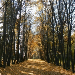 Юлия Росликова, 14.08