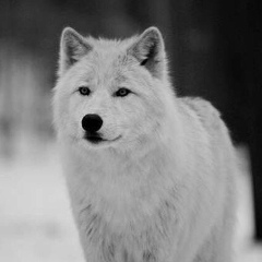 Фархат Рискулов, 18.06, Екатеринбург