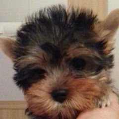 Екатерина Панькина, 28.08.2003