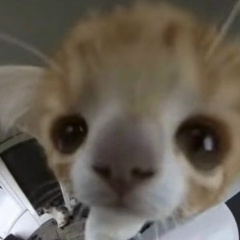 Даня Дудец, 05.02.2001, Москва