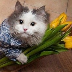 Эндрю Киселев, 17.03