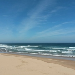 Дина Алеева