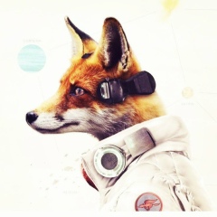 Евгений Хальзов, 08.04.1987