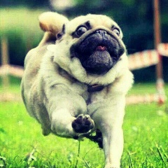 Кирилл Русалеев, 22.02.1997, Луга