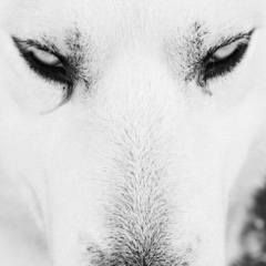 Діма Семенчук, 08.06