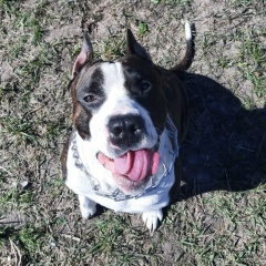 Антон Косюга, 07.02, All Saints