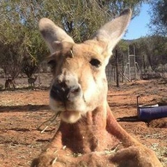 Сергей Маркин, 29.08, Москва