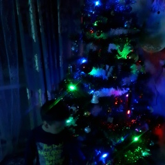 Анар Садыкова, 20.11.1990, Алматы