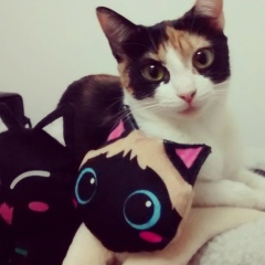 Mirian Honda, Campo Grande