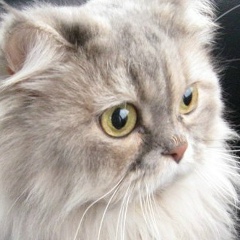 Юлия Косова, 24.05, Саранск