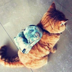 Анастасия Рей, 17.09.1989, Электросталь