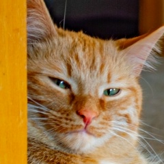 Евгений Симанов, 22.02, Чайковский