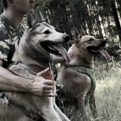 Альфазаврик Дымыч, 05.06