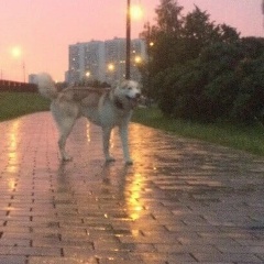 Александр Жилин, 23.07, Москва
