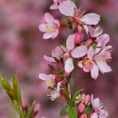 Юлия Т, Кемерово
