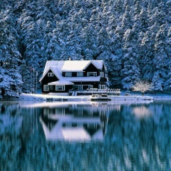 Дикий Гарри, Краснодар