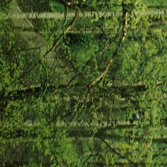 Александра Борисова, 31.05.1994, Архангельск