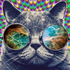 Михаил Кале, 19.04.1988