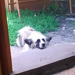 Макс Морозов, 30.06.1982, Белгород