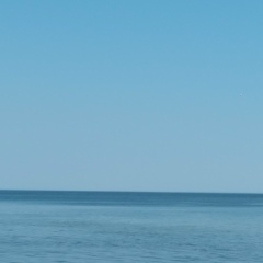 Елена Бормотова