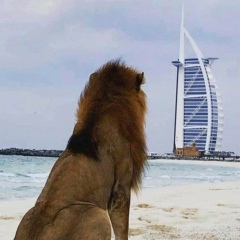 Эдуард Борисов, 23.02.1974, Москва