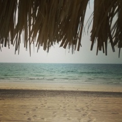 Людмила Аминова, Ульяновск