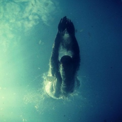 Roman Анатольевич, 16.05.2000, Санкт-Петербург