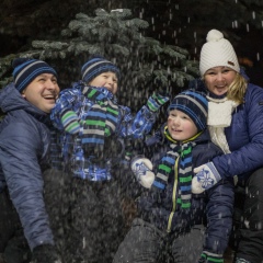 Любовь Доронина, Санкт-Петербург