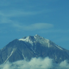 Людмила Гумецова