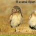 Balu Balu, Батуми