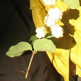 Анастасия Кулешова, 21.04, Санкт-Петербург