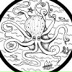 Comrad Octopus, Омск