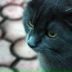 Алена Сочиенкова, 10.04.1987, Киев
