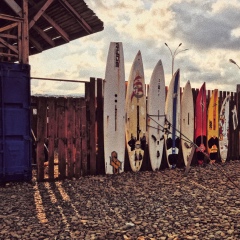 Анна Овчинникова, 30.05, Москва