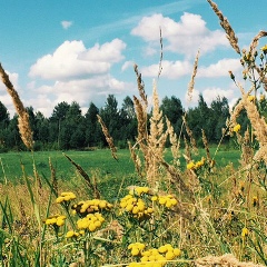 Иван Лавник, 02.03, Ставрополь