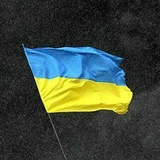 Дмитрий Зайцев, 29.10