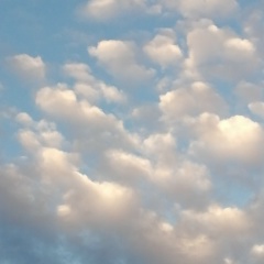 Кирилл Ермаченко, 20.03, Могилёв