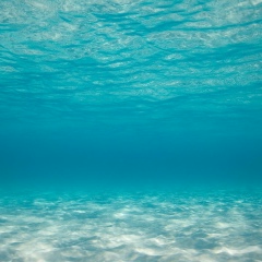 Ольга Комлева, 23.03.1981, Мурманск