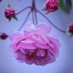 Александра Юшина, 04.05, Москва